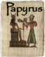 This page relates to the Papyrus scripting language